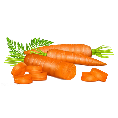 Fresh Carrots